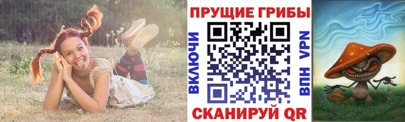 Галлюциногенные грибы GOLDEN TEACHER  Верхний Уфалей 